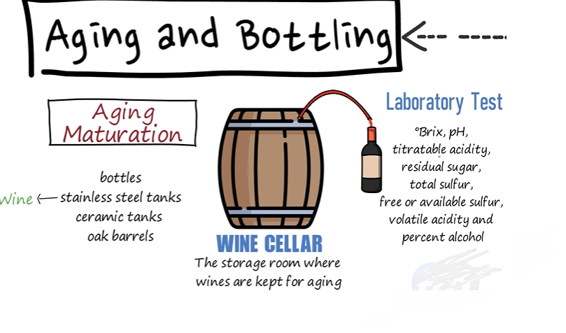 Aging and bottling  process wine making 