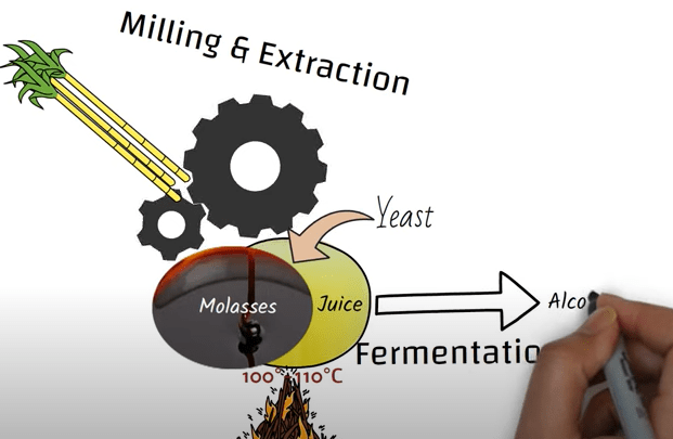 fermentation process rum