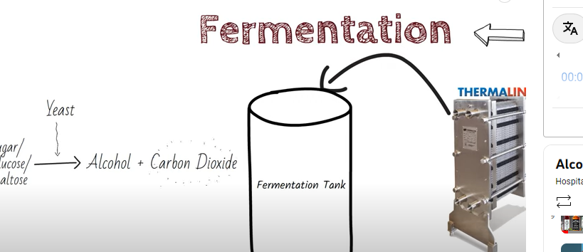 fermentation beer making process