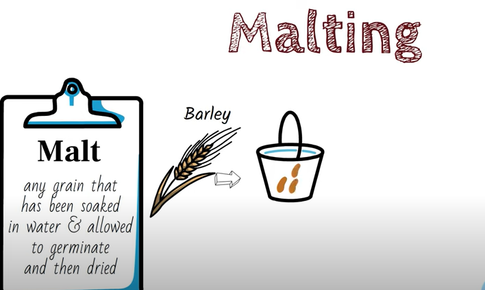 Malting Beer process