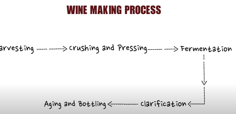 wine-making process