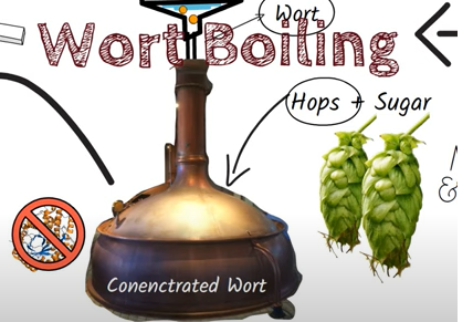 Wort Boiling Process in beer